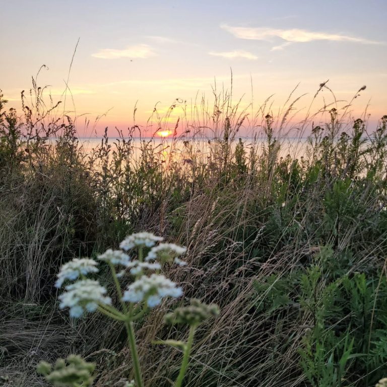 Steilküste_Sonnenuntergang Sonnenuntergang über der Ostsee, im Vordergrund Gräser